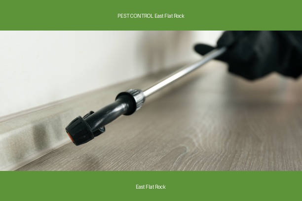 PEST CONTROL East Flat Rock
